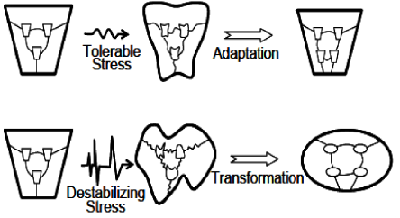 Adaptaci&oacute;n y transformaci&oacute;n