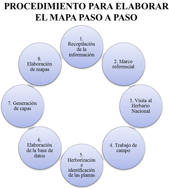 Proceso metodol&oacute;gico