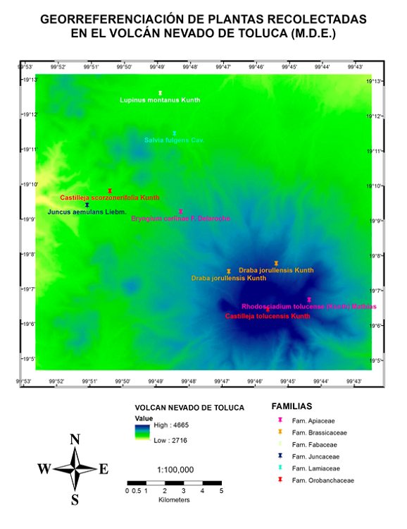 Georreferenciaci&oacute;n
de plantas