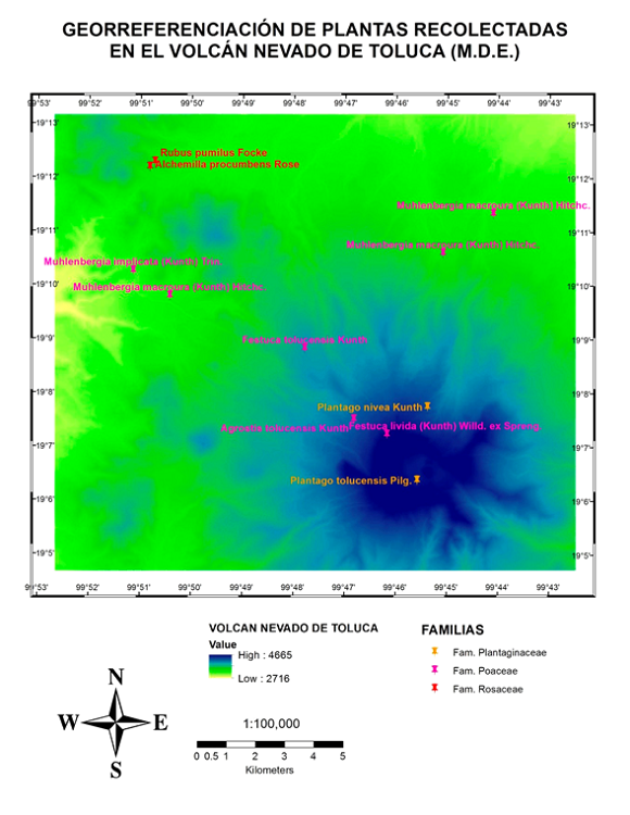 Georreferenciaci&oacute;n de plantas