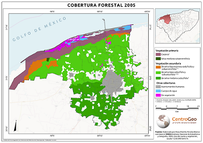 Cobertura forestal 2005
