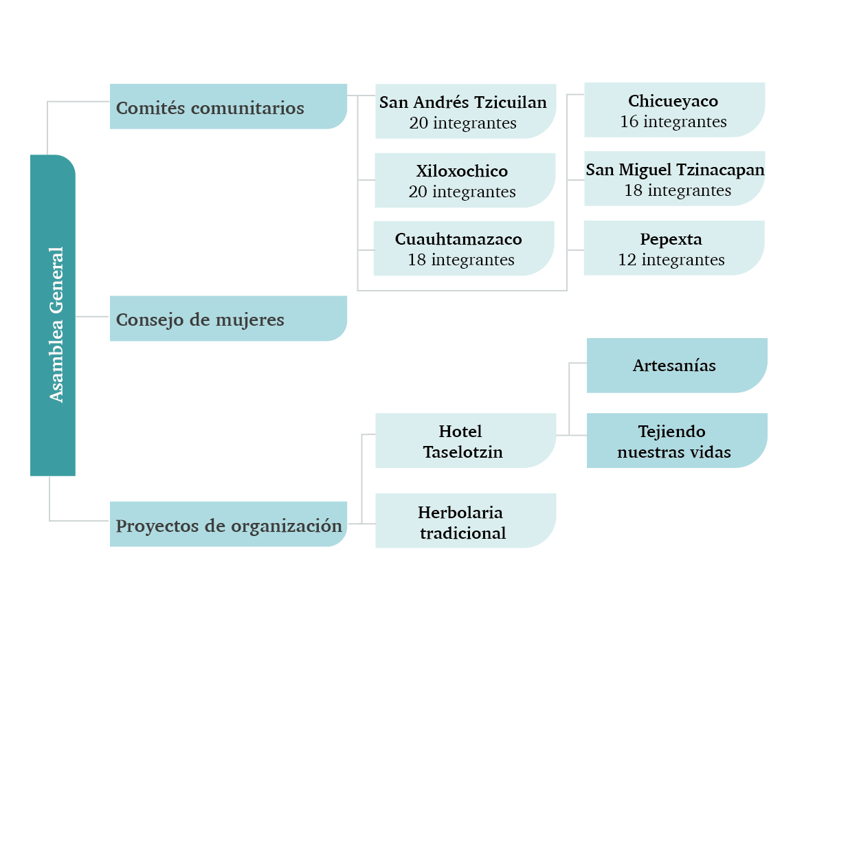 Organizacin de Masehual Siuamej Mosenyolchicauani