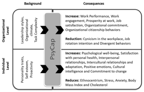 Main background and consequent variables of PsyCap, at the individual and organizational levels.