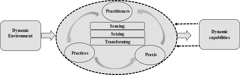 strategy-as-practice, through the lens of Microfoundations of dynamic capabilities