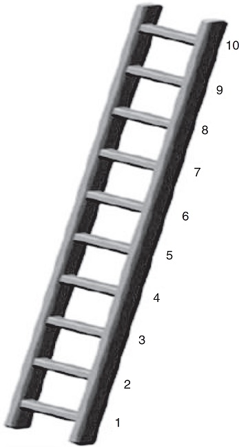 Escala MacArthur de Status Social Subjetivo: vers&atilde;o
                        para jovens" (Goodman et al.,
                        2001).