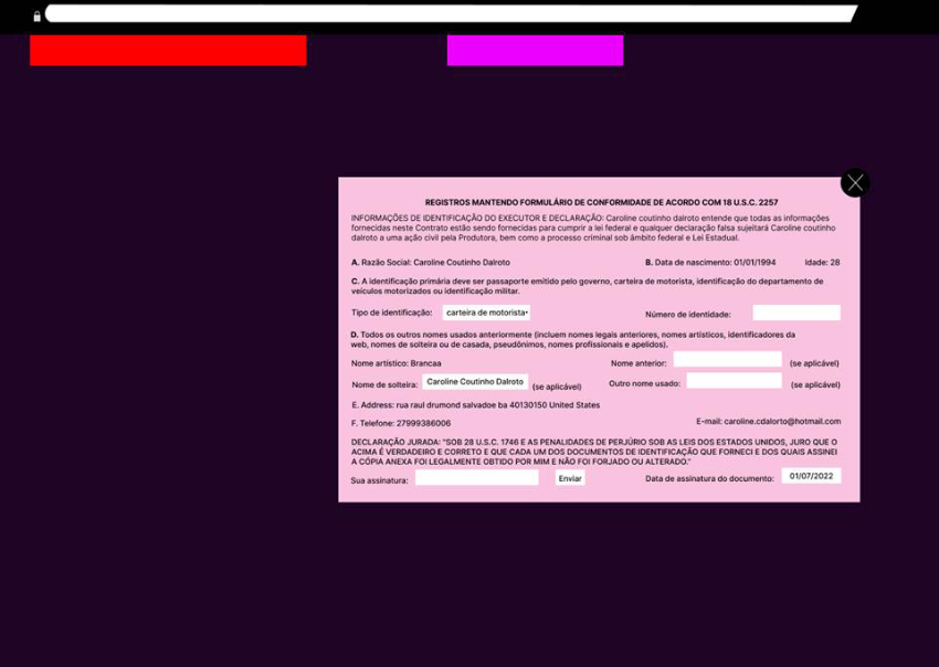Webcam Model Application (termo de compromisso para presta&ccedil;&atilde;o de servi&ccedil;os na plataforma).