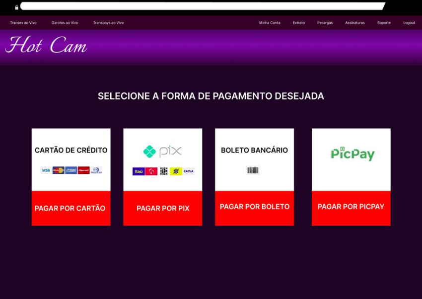 Formas de pagamento no C&acirc;mera Priv&ecirc;.