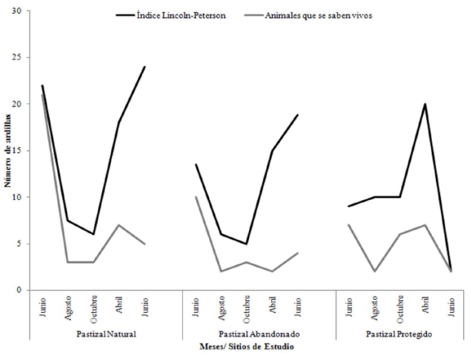 Comparación de la densidad obtenida por el índice de Lincoln y el número de animales que se saben vivos.