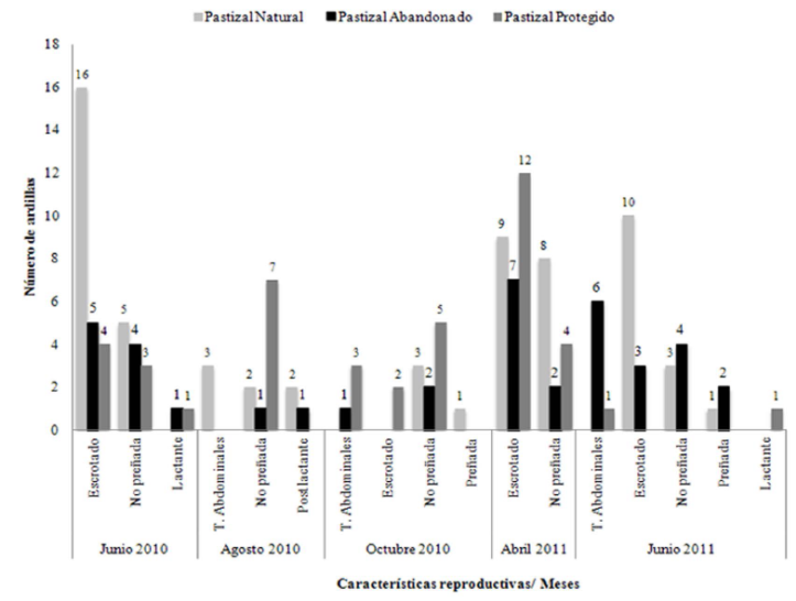 Estados reproductivos de las ardillas de Perote en los diferentes muestreos y sitios de estudio en el Valle de Perote, Veracruz.