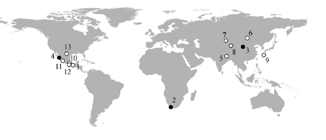 Approximate distributional locations of the endangered (open circles) and critically endangered (closed circles) lagomorph species. (1) 
							Lepus flavigularis; (2) 
							Bunolagus monticularis; (3) 
							Ochotona argentata; (4) 
							Sylvilagus mansuetus; (5) 
							Caprolagus hispidus; (6) 
							Ochotona hoffmanni; (7) 
							Ochotona iliensis; (8) 
							Ochotona koslowi; (9) 
							Pentalagus furnessi; (10) 
							Romerolagus diazi; (11) 
							Sylvilagus graysoni; (12) 
							Sylvilagus insonus; (13) 
							Sylvilagus robustus.
						