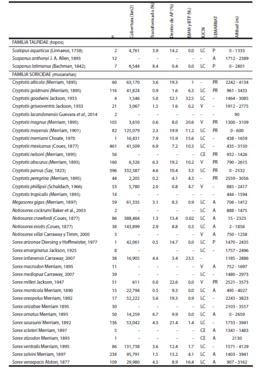 Número de ejemplares de topos y musarañas colectados en México (n), superficie de la distribución actual y porcentaje dentro de hábitat transformado, en Áreas protegidas (AP) y en ecosistemas terrestres más amenazados de México (BMM, Bosque Mesófilo de Montaña; BTP, Bosque Tropical Perennifolio). Se presenta la categoría de riesgo de extinción (
SEMARNAT 2010 y
IUCN 2013) y el intervalo altitudinal de los registros (msnm). El fondo gris señala a las especies endémicas del país.