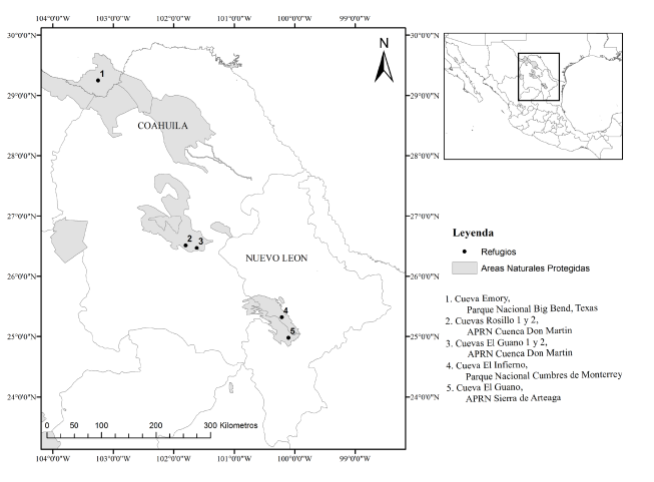 Ubicación de los refugios identificados para 
							Leptonycteris nivalis y 
							Choeronycteris mexicana.
						
