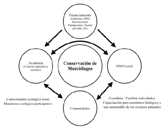Modelo representando la red de conservación de murciélagos.