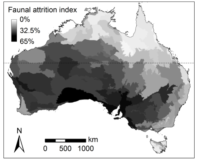 The extent of historical changes in the mammal fauna of continental Australia, using a Faunal Attrition Index (FAI) defined by 
								McKenzie 
									et al. (2007
								). FAI is calculated as (N+E+P)/2N, where Nis the number of species originally in the region's fauna, P is the number of species still present and E is the number of species extirpated from the regional fauna: the index varies from 0 (if all species have persisted) to 2 (if all species have been extirpated). Map from 
								Murphy and Davies (2014)
							