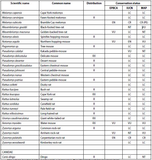 List of mammal species occurring in northern Australia at the time of European settlement. Note that this excludes the Wet Tropics area of northeastern Australia. Distribution (at the time of European settlement) is 
								in addition to  northern Australia: R=other parts of Australia; X=extralimital. Conservation status is given as for Australian national legislation (EPBCA), the IUCN Red List, and as assessed in the 2012 Action Plan for Australian Mammals (MAP) (
								Woinarski 
									et al.  2014
								). Conservation status categories: EX extinct, CR(PE) Critically Endangered (Possibly Extinct), CR Critically Endangered, EN Endangered, VU Vulnerable, NT (CD) Near Threatened (Conservation Dependent), NT Near Threatened, LC Least Concern, DD Data Deficient. Note that MAP and EPBCA status refer to Australian range only.
							