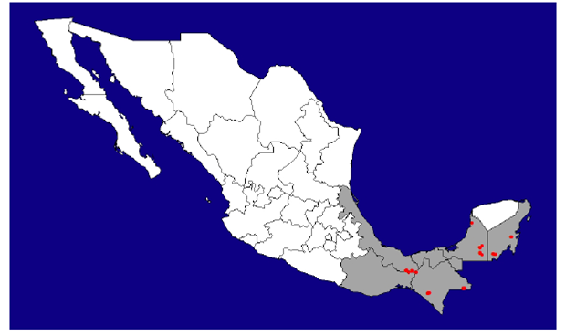Distribuci&oacute;n actual del tapir (
							Tapirus bairdii) en M&eacute;xico con base exclusivamente en los registros obtenidos (n = 79) en el trabajo de campo del presente proyecto. 
						