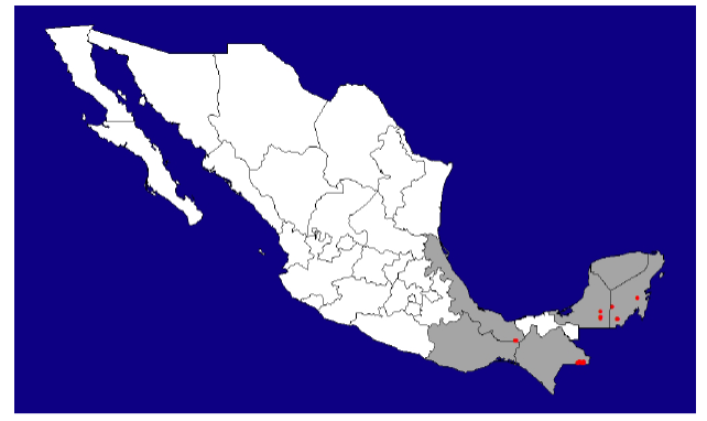 Distribuci&oacute;n actual del pecar&iacute; de labios blancos (
							Tayassu pecari) en M&eacute;xico con base exclusivamente en los registros obtenidos (n = 26) en el trabajo de campo del presente proyecto. 
						
