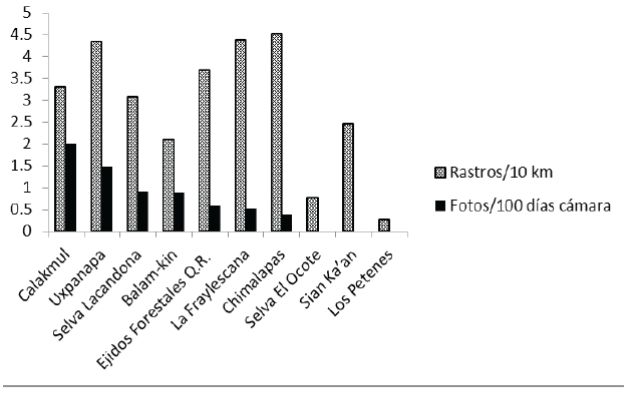 Abundancia del tapir (
							Tapirus bairdii) estimada mediante foto-trampeo y conteos de rastros en las localidades de estudio.
						