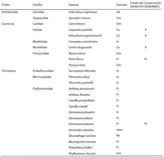 Listado de mamíferos registrados en el humedal Chaschoc-Seja, Emiliano Zapata, Tabasco, México. Ca = carnívoro, Fr = frugívoro, He = herbívoro, Hem = hematófago, In = insectívoro, Ne = nectarívoro, Om = omnívoro. A = amenazadas, P = en peligro de extinción, Pr = sujetas a protección especial.