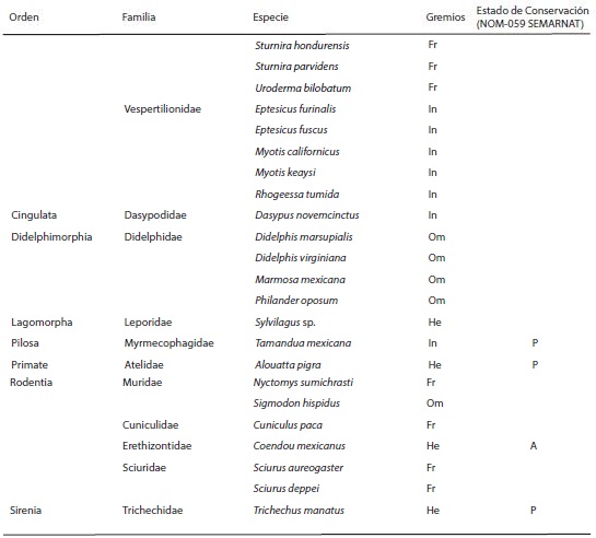 Listado de mamíferos registrados en el humedal Chaschoc-Seja, Emiliano Zapata, Tabasco, México. Ca = carnívoro, Fr = frugívoro, He = herbívoro, Hem = hematófago, In = insectívoro, Ne = nectarívoro, Om = omnívoro. A = amenazadas, P = en peligro de extinción, Pr = sujetas a protección especial.