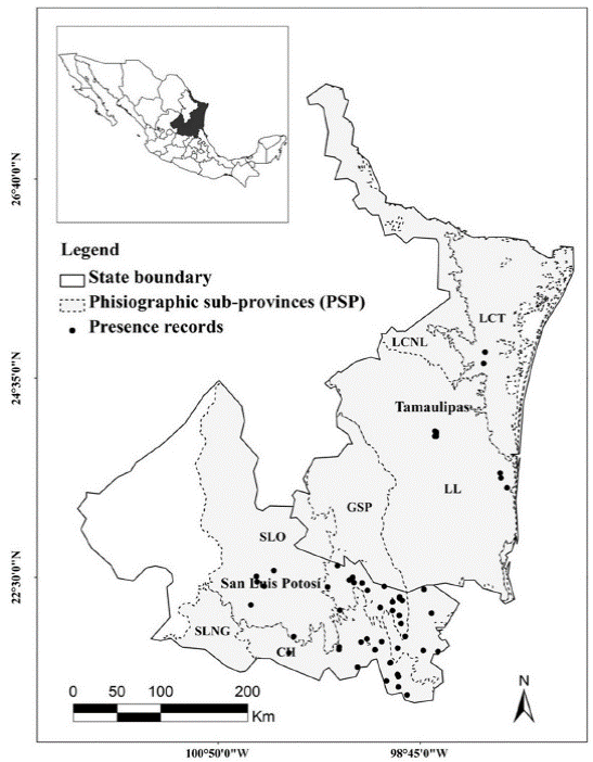 Study area map showing the state of Tamaulipas and San Luis Potosi; physiographic subprovinces (PSP) location and ocelot records location. Abbreviations of PSP: LCNL = Llanuras de Coahuila y Nuevo Leon; LCT = Llanura Costera Tamaulipeca; LL = Llanuras y Lomerios; GSP = Gran Sierra Plegada; SLO = Sierras y Llanuras Occidentales; CH = Carso Huasteco; SLNG = Sierras y Llanuras del Norte de Guanajuato.
