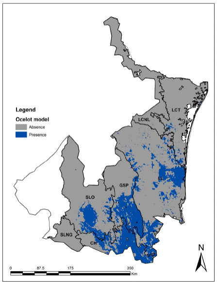 Potential distribution of ocelot in NE Mexico.