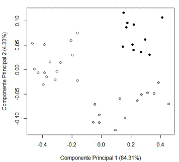 Componentes principales 1 y 2 del ACP de las mediciones de Vampyriscus brocki (negro), Vampyriscus bidens (blanco) y Vampyressa thyone (gris). En par&eacute;ntesis est&aacute;n los porcentajes de variaci&oacute;n.