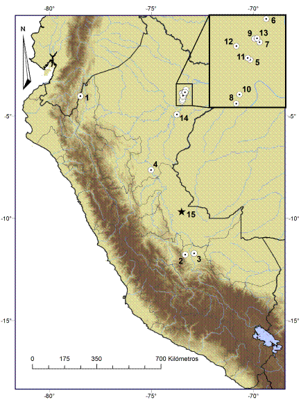 Mapa de registros de Vampyriscus brocki en Per&uacute;: Amazonas: (1) Vivar y Arana-Card&oacute; 1994; Cusco: (2) Emmons et al. 2001; (3) MUSM 36684; Loreto: (4) Pacheco y Arias 2001, (5) MUSM 29953, (6) MUSM 29954, (7) MUSM 29956, (8-13) Hice et al. 2004, (14) Ascorra et al.1993; Ucayali: (15) MUSA 15716. El nuevo registro se encuentra se&ntilde;alado con una estrella negra. Los puntos 5 al 13 de Loreto se encuentran proyectados en la parte superior derecha del mapa.