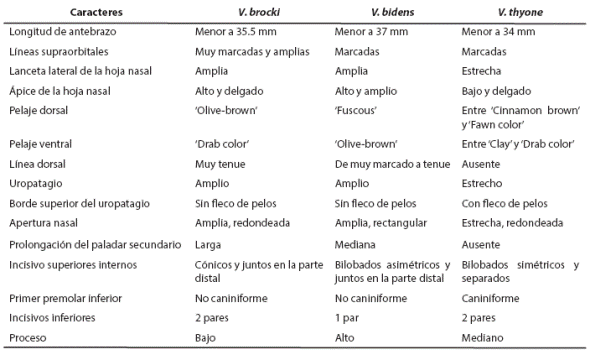 Caracteres externos y craneales de Vampyriscus brocki Vampyriscus bidens y Vampyressa thyone.