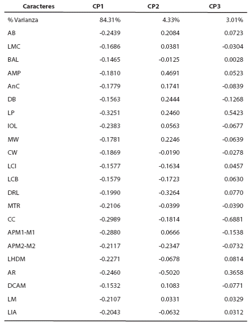 Porcentaje de varianza total explicada y coeficientes estandarizados de los tres primeros autovectores del ACP de Vampyriscus brocki V. bidens y Vampyressa thyone Componentes principales 1 (CP1), 2 (CP2) y 3 (CP3)