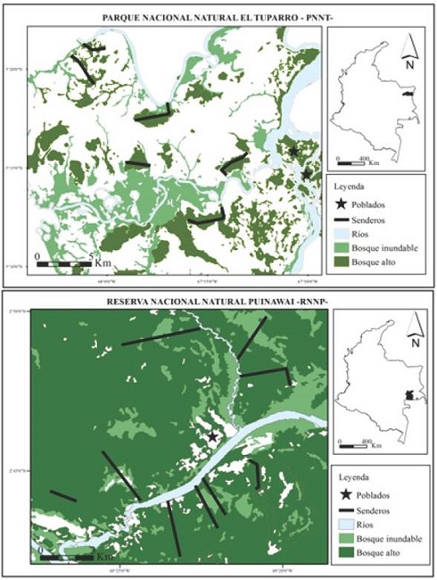 Área de estudio y ubicación de los senderos de muestreo en los bosques del PNNT y la RNNP, Guayana. PNNT = Parque Nacional Natural el Tuparro, RNNP = Reserva Nacional Natural Puinawai.