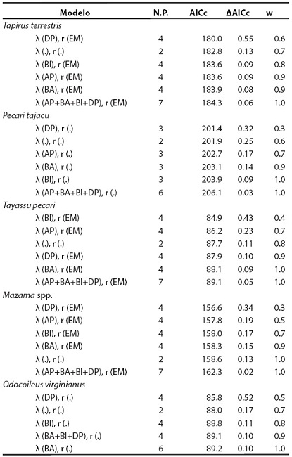 Modelos de ocupación con heterogeneidad en la detección para ungulados en dos áreas protegidas de la Guyana colombiana a partir del registro de huellas y observaciones directas. Los parámetros λ y r son definidos como la abundancia relativa promedio por sitio y la probabilidad de detección respectivamente (Royle y Nichols 2003). Los modelos incluyen el área protegida como factor (AP), el esfuerzo de muestreo (EM), el porcentaje de cobertura de bosque alto (BA), el porcentaje de bosque inundable (BI) y la distancia a poblados (DP). N.P.: Número de parámetros, AICc: Criterio de Información de Akaike, Δ⌧AICc: diferencia en los valores de AICc entre los modelos, w: peso del modelo. 