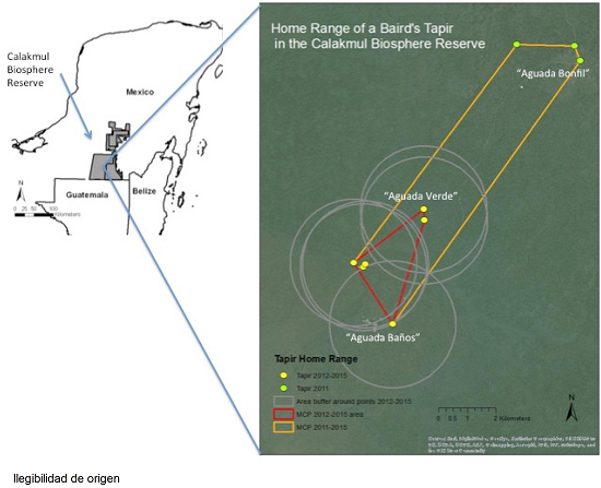 Records of presence of a Baird's tapir (May 2011 - September 2015) with Minimum convex polygon of all locations (May 2011 to September 2015), of only the area where the individual dispersed (November 2011 to September 2015) and polygon of home range estimated using a buffer of half the maximum distance moved of the locations where it dispersed (November 2011 to September 2015). 