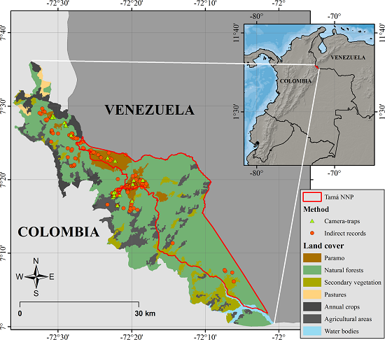 Geographic location of Tamá National Natural Park and its buffer zone and location of Camera-traps and Indirect records where medium and large-sized terrestrial mammals̕ records were obtained.