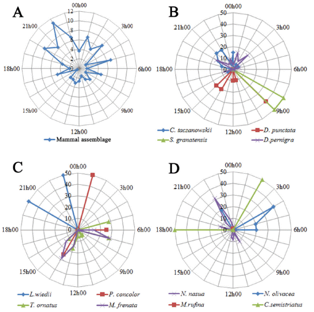 Activity patters of (A) all mammals, (B) Rodents and marsupials, (C) Felidae, Ursidae and Mustelidae and (D) Procyonidae, Cervidae and Mephitidae.
