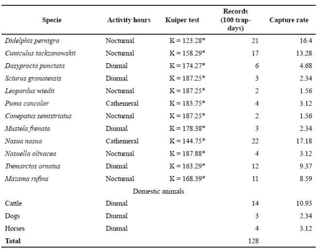 Activity period, Kuiper test estimator (*indicates significant differences from homogeneity P < 0.001), number of re- cords and capture rate from camera traps for medium and large-sized terrestrial mammals recorded at Tamá National Natural Park, Colombia. 