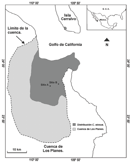 Área de distribución y sitios de captura (A y B) de las hembras de Chaetodipus siccus empleadas para los experimentos etológicos de dominancia (mapa modificado de Álvarez-Castañeda y Rios 2011).