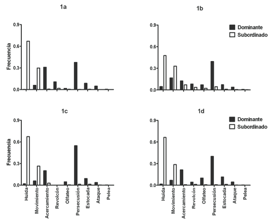 Frecuencia de comportamientos del individuo dominante (barras negras) y del individuo subordinado (barras blancas) durante las condiciones del experimento 1 (a: dominancia directa / misma localidad de captura; b: dominancia con proceso de familiarización /misma localidad de captura; c: dominancia directa / diferente localidad de captura; d: dominancia con proceso de familiarización / diferente localidad de captura.