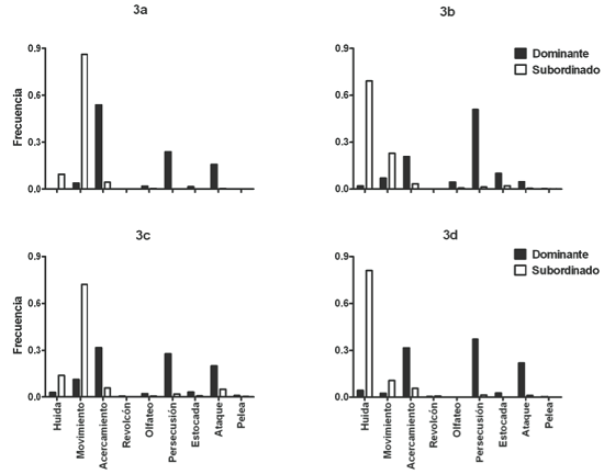 Frecuencia de comportamientos del individuo dominantes (barras negras) y del individuo subordinado (barras blancas) durante las condiciones del experimento 3 (a: hembras en ayuno de 24 horas; b: hembras alimentadas ad libitum; c: hembra dominante alimentada ad libitum / hembra subordinada en ayuno de 24 horas; d: hembras alimentadas ad libitum con un macho presente (comportamientos del macho no incluidos).