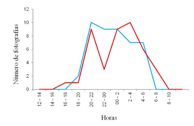 Patrón de actividad del ocelote (machos y hembras) en la zona norte de Quintana Roo, México. Las líneas correspondes en cada caso a ocelotes machos en azul y ocelotes hembras en rojo.