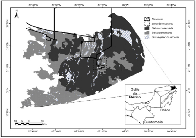Áreas Naturales Protegidas de carácter privadas y nacionales, utilizadas para hacer una estimación cautelosa de la población del ocelote (Leopardus pardalis) en la zona norte de la Península de Yucatán.