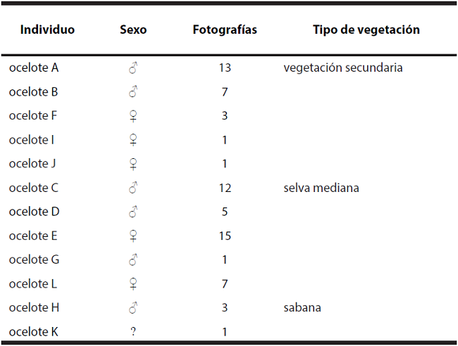 Registro de frecuencias de ocurrencias de los 12 individuos de ocelote en los diferentes tipos de vegetación.