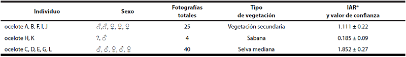 Índice de abundancia relativa (IAR) del ocelote y número de fotográficas por tipo de vegetación en el norte Quintana Roo, México. *IAR, índice de abundancia relativa (# fotos/ días trampa*1000).