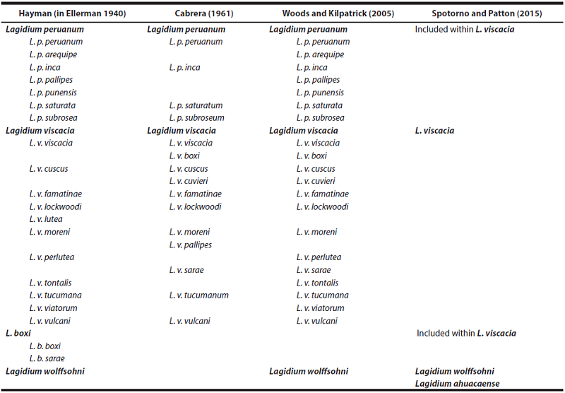 Main taxonomic hypothesis for the species of the genus Lagidium (Rodentia, Chinchillidae), including the arrangement of subspecies proposed by different authors.