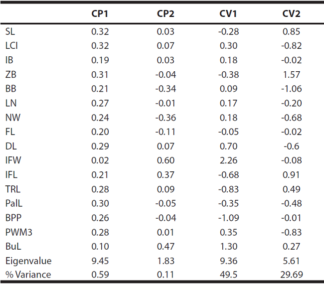 Specimen scores of adult individuals of Lagidium (n = 55) for Principal Components 1 and 2, and for Canonical Variates 1 and 2 extracted from an eight-group discriminant function analysis. See materials and methods for the explanation of the abbreviations.