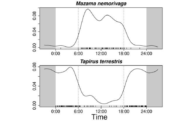Overall activity patterns of ungulates in the Yasuní Biosphere Reserve. The strip at the base of the graphs represents the distribution of records for each species. The two parallel dotted lines represent approximate sunrise and sunset time in Ecuador, which vary approximately between 6:00 to 6:30 and 18:00 to 18:30 h, respectively, throughout the year.