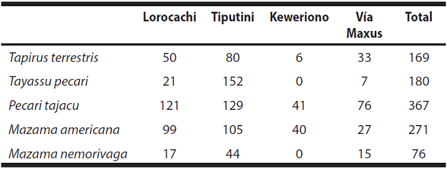 Ungulate species recorded by camera traps in four sites across Yasuní Biosphere Reserve, Ecuador. The sites, ranked from lowest to highest accessibility to hunters, are: Lorocachi, Tiputini, Keweriono and Vía Maxus.