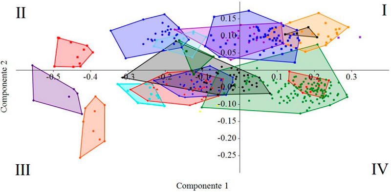Scatterplot of species in the hyperdimensional space represented by CP1 and CP2 for the total data. Color polygons identify the clustering patterns of species; symbols and colors correspond to: A. affinis = blue dot, C. instans = light blue dot, H. alfaroi = yellow diamond, H. fuscatus = red diamond, H. intectus = blue diamond, M. caliginosus = black dot, M. minutus = índigo dot, N. tenuipes = orange dot, N. childi = red dot, N. pectoralis = green dot, R. mexicanus = red square, R. latimanus = dark purple dot, T. baeops = green square, T.cinereiventer = black square, T. cinnameus = light blue square, T. contradictus = blue square, T. nicefori = dark orange square, T. popayanus = purple-blue square.