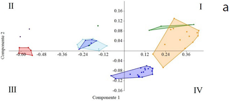 Scatterplot of the species recorded in some local assemblages shown in the hyperdimensional space represented by CP1 and CP2. Symbols and colors are as in Figure 3. (a) Belmira, Central Cordillera, (b) La Mesenia, Western Cordillera.