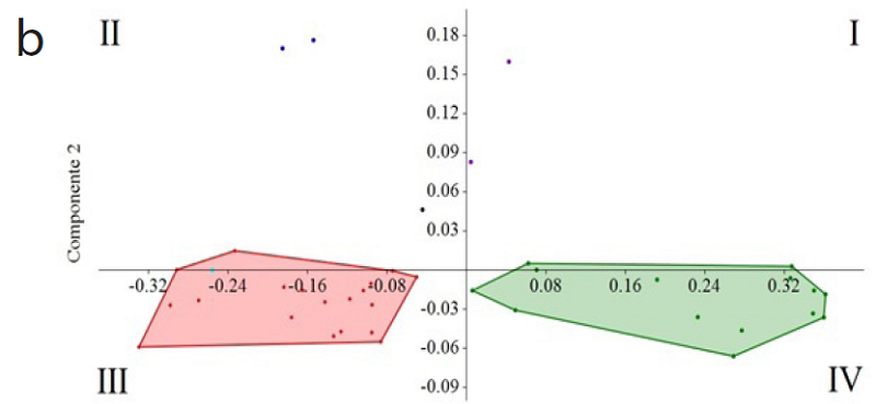 Scatterplot of the species recorded in some local assemblages shown in the hyperdimensional space represented by CP1 and CP2. Symbols and colors are as in Figure 3. (a) Belmira, Central Cordillera, (b) La Mesenia, Western Cordillera.